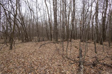 Lot 4 Saylers Beach Road Lake Park MN 56554