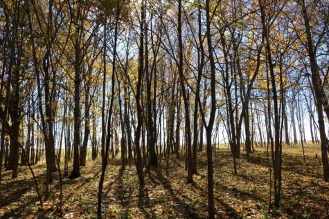 XXX7 Serenity Lane SW Alexandria MN 56308