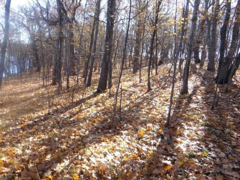 XXX7 Serenity Lane SW Alexandria MN 56308