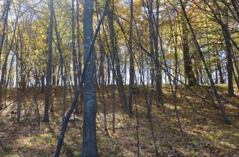 XXX7 Serenity Lane SW Alexandria MN 56308