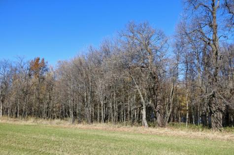 XXX7 Serenity Lane SW Alexandria MN 56308