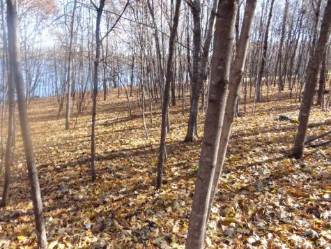 XXX7 Serenity Lane SW Alexandria MN 56308