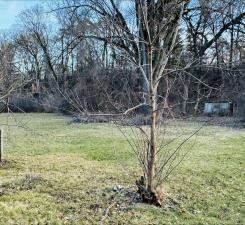 16XX Woodbury Road Newport MN 55055