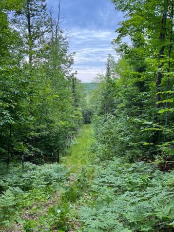 86640 N South Pratt Road Bayfield WI 54814