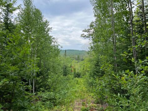 86640 N South Pratt Road Bayfield WI 54814