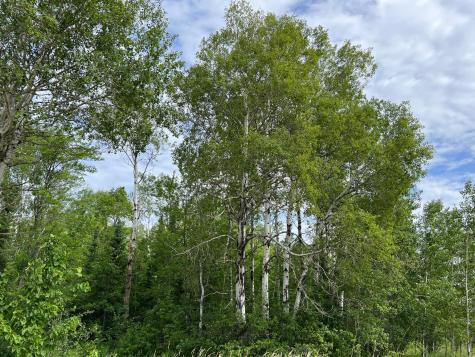 86640 N South Pratt Road Bayfield WI 54814