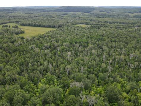86640 N South Pratt Road Bayfield WI 54814