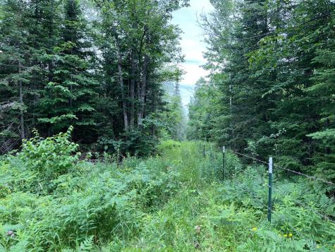 86640 N South Pratt Road Bayfield WI 54814