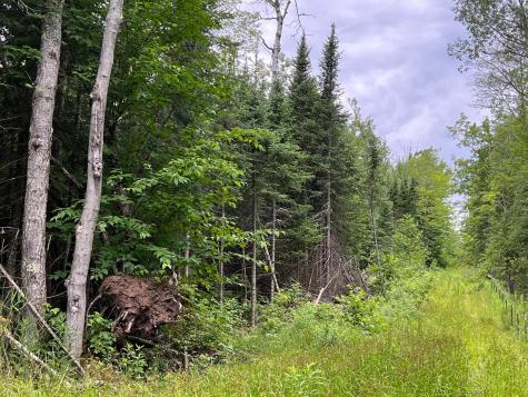 86640 N South Pratt Road Bayfield WI 54814