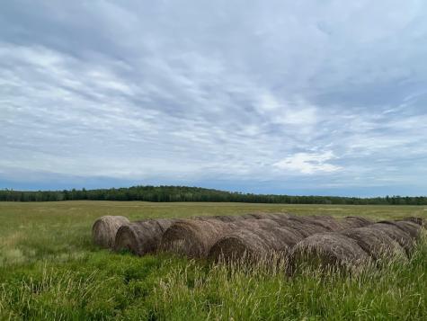 86640 N South Pratt Road Bayfield WI 54814