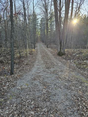15XXX Lofty Pines Road Pine City MN 55063