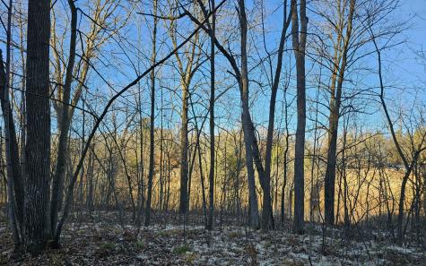 15XXX Lofty Pines Road Pine City MN 55063
