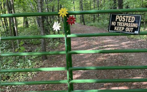 15XXX Lofty Pines Road Pine City MN 55063