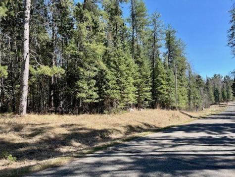 Tbd New Melahn Drive Lake George MN 56458