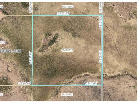 Xxx Xxx Ross Lake Twp MN 56431