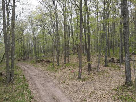 N8661 Sand Pit Road Trego WI 54888