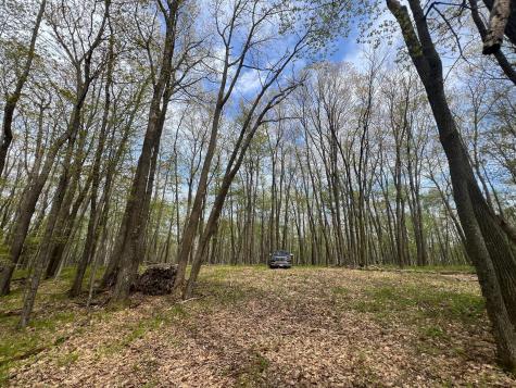 N8661 Sand Pit Road Trego WI 54888