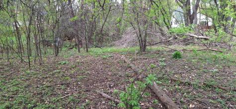 1830 Howard Street N Maplewood MN 55109