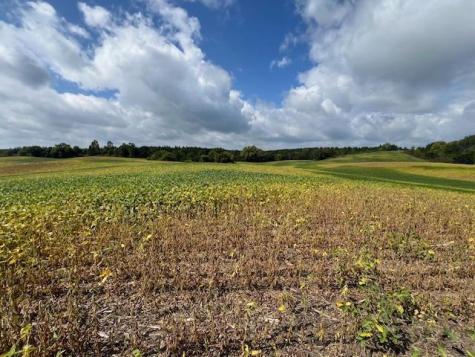 Tbd Placid Drive Edna Twp MN 56573