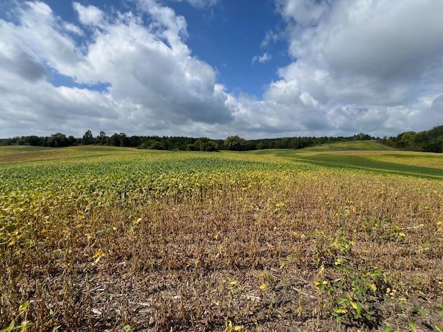 Tbd Placid Drive Edna Twp MN 56573