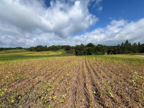 Tbd Placid Drive Edna Twp MN 56573