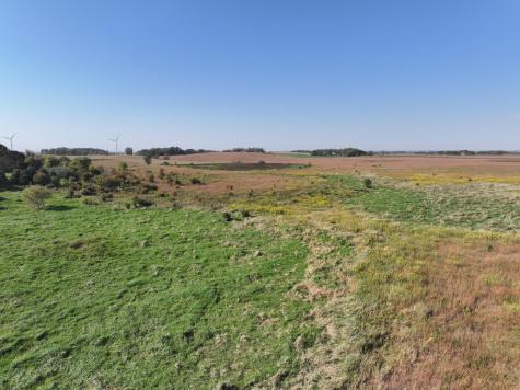 Tbd 44th Avenue SE Blooming Prairie MN 55917