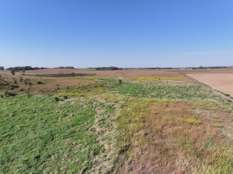 Tbd 44th Avenue SE Blooming Prairie MN 55917