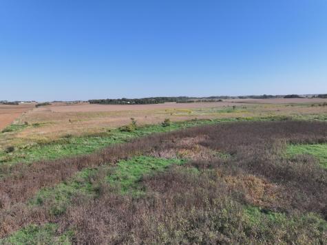 Tbd 44th Avenue SE Blooming Prairie MN 55917