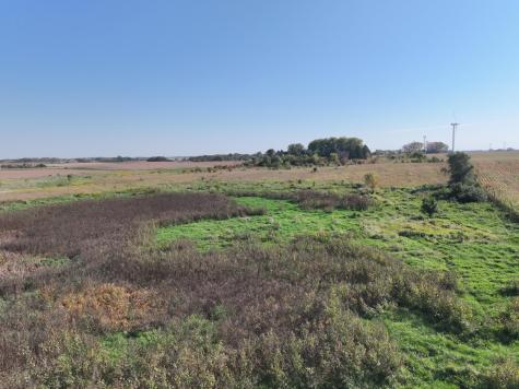 Tbd 44th Avenue SE Blooming Prairie MN 55917