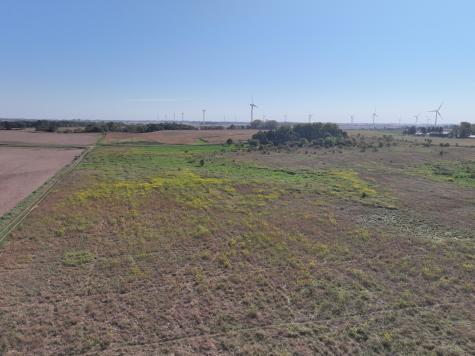 Tbd 44th Avenue SE Blooming Prairie MN 55917