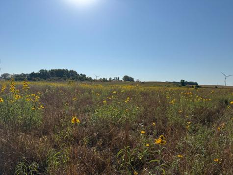 Tbd 44th Avenue SE Blooming Prairie MN 55917