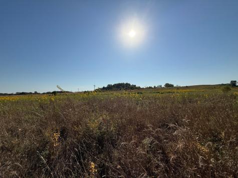 Tbd 44th Avenue SE Blooming Prairie MN 55917