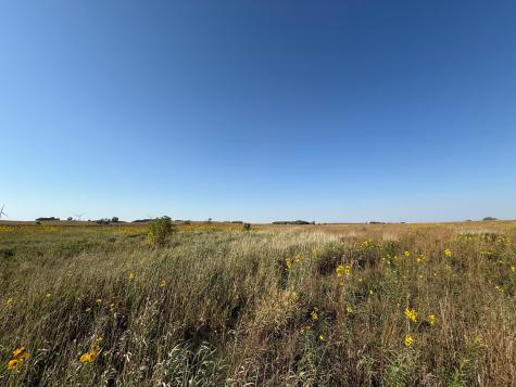 Tbd 44th Avenue SE Blooming Prairie MN 55917
