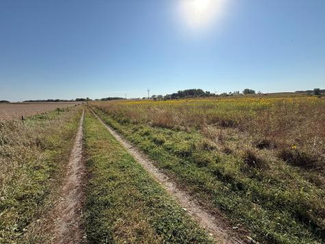 Tbd 44th Avenue SE Blooming Prairie MN 55917