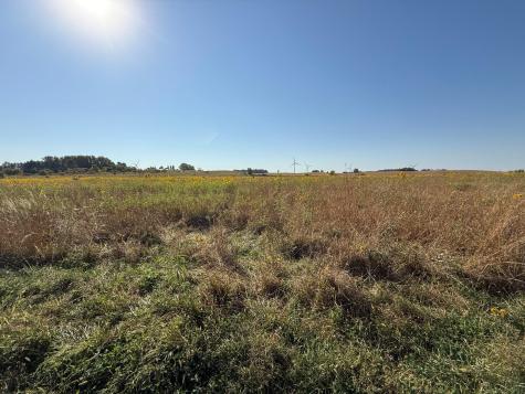 tbd 44TH Avenue SE Blooming Prairie MN 55917