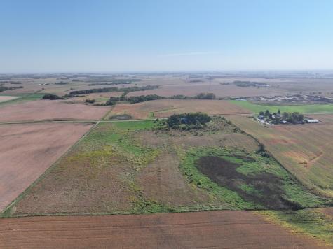 Tbd 44th Avenue SE Blooming Prairie MN 55917