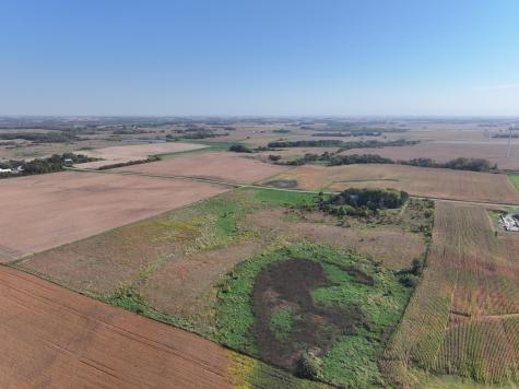 Tbd 44th Avenue SE Blooming Prairie MN 55917