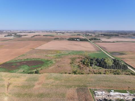 Tbd 44th Avenue SE Blooming Prairie MN 55917