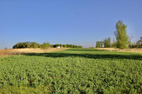 Tbd County Highway 14 Madison MN 56256