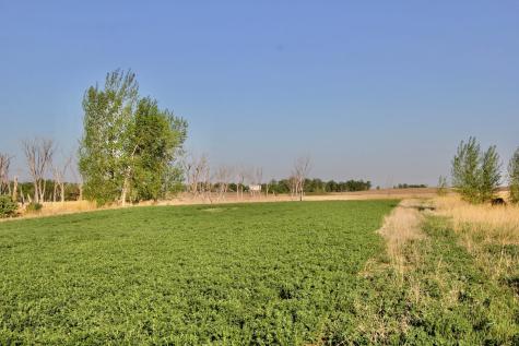 Tbd County Highway 14 Madison MN 56256