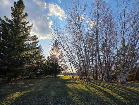 1834 Brainard Boulevard Detroit Lakes MN 56501