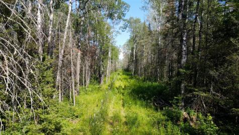 74035 County Highway A Iron River WI 54847