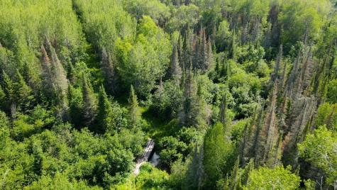 74035 County Highway A Iron River WI 54847