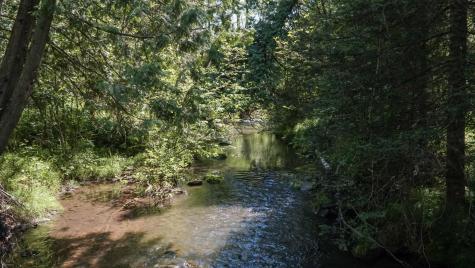 74035 County Highway A Iron River WI 54847