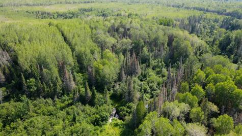 74035 County Highway A Iron River WI 54847