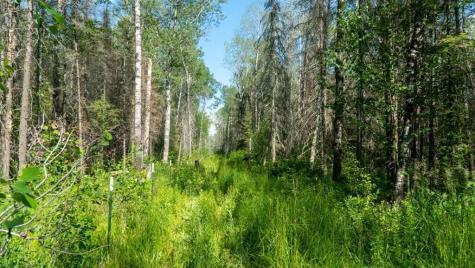 74035 County Highway A Iron River WI 54847