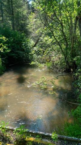 74035 County Highway A Iron River WI 54847