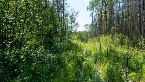 74035 County Highway A Iron River WI 54847