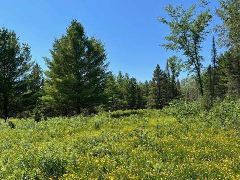 74035 County Highway A Iron River WI 54847