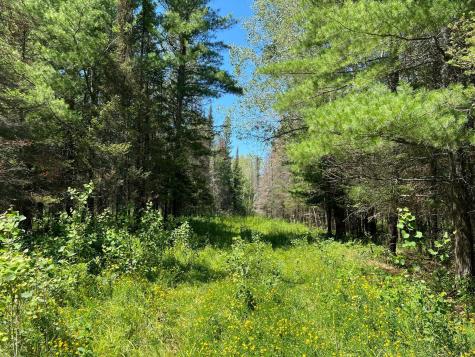 74035 County Highway A Iron River WI 54847